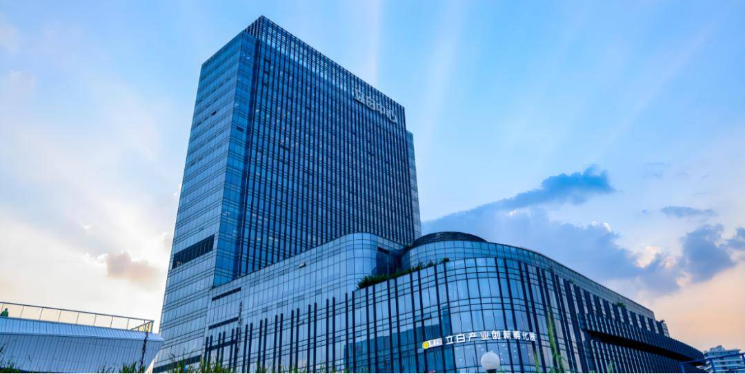 集团：从贴牌生产到民族日化龙头瓦力游戏致敬20年 立白科技(图3)